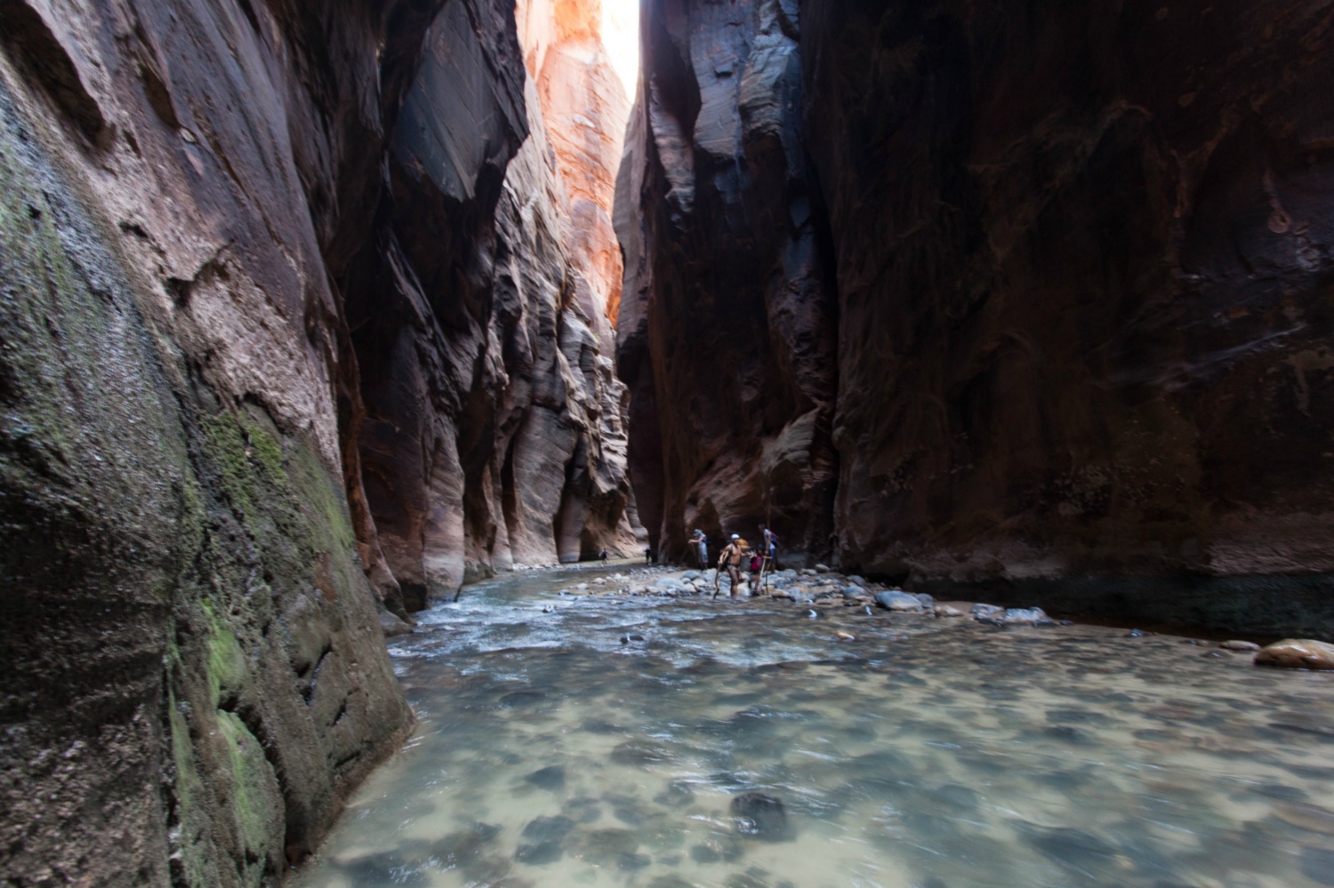 USA_Zion_137